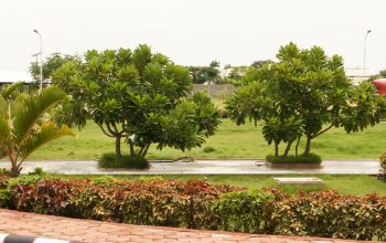 Eco-Friendly-Campus-01